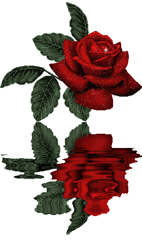 rose animation